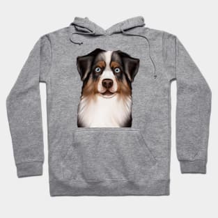 Cute Australian Shepherd Drawing Hoodie